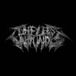 Timeless Wounds : Disciples of the East